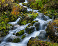 Middle Fork Creek