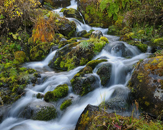 Middle Fork Creek
