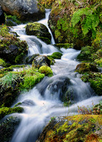 Middle Fork Creek