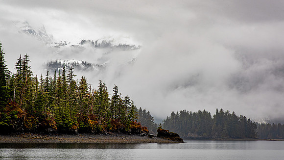 _8103759_DxO