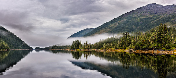 _8109420-Pano