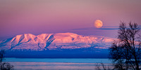 _8100099_DN1_full rez