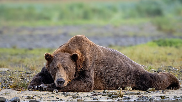 End of a Long Day