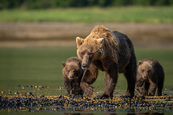 Mom and the Kids