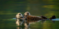 _NZ94791_orig_DxO_fullrez