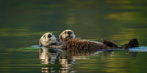 _NZ94791_orig_DxO_fullrez