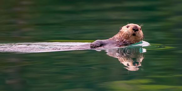 DSC_6526_TdTaiGTsN1_12x24-300p