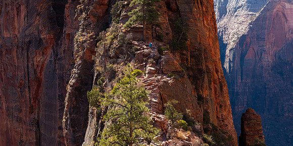 Angel's Landing
