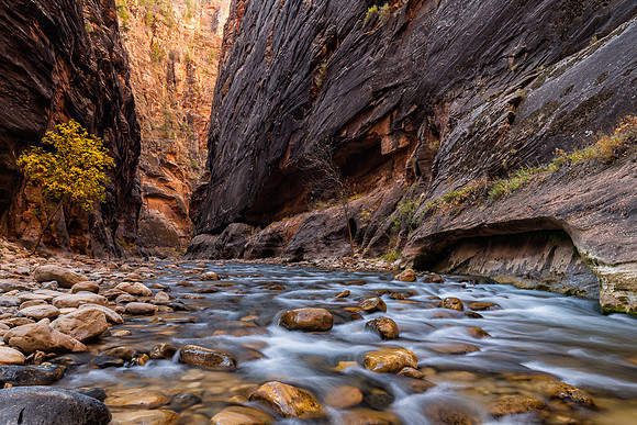 Zion NP