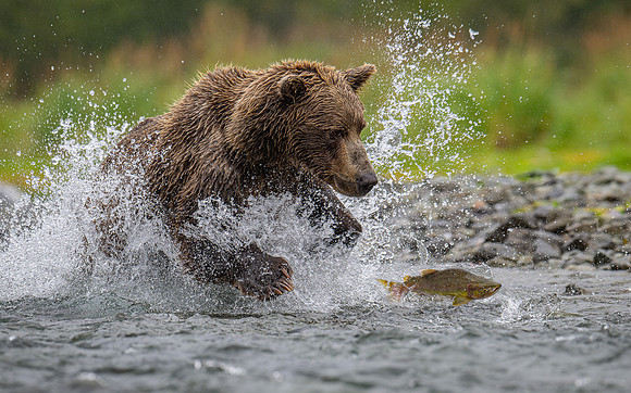 The Chase